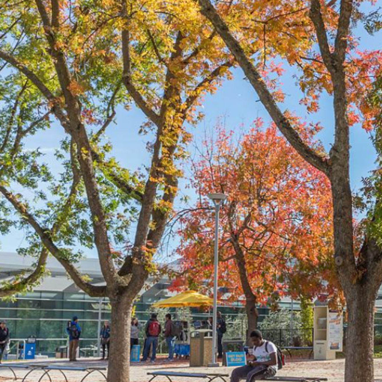 American River College campus