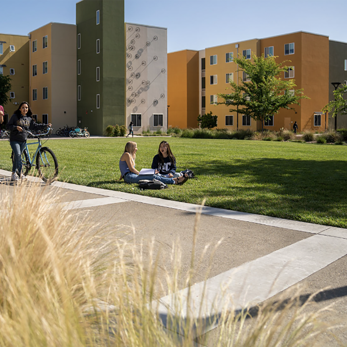 University of California, Davis campus