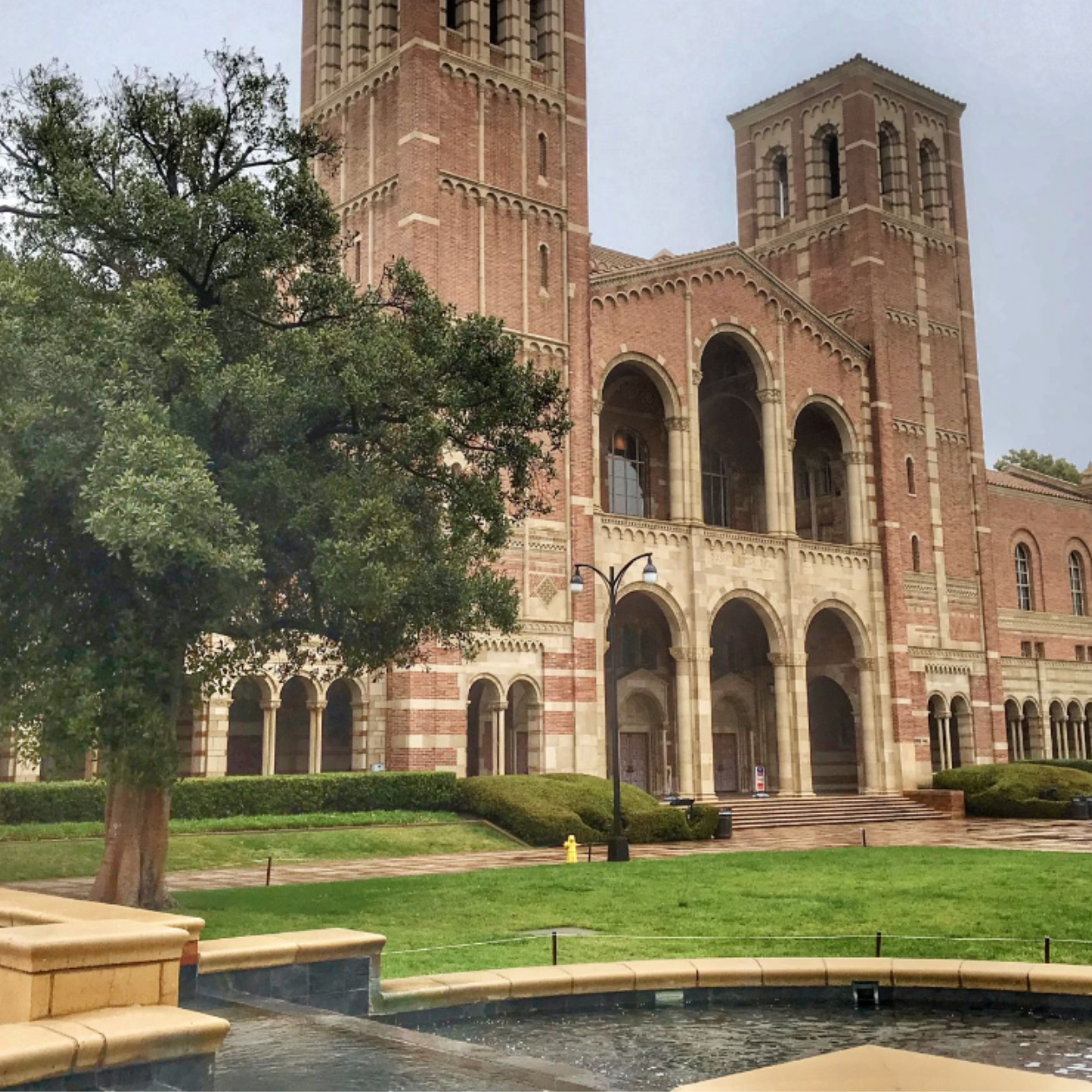 University of California, Los Angeles campus